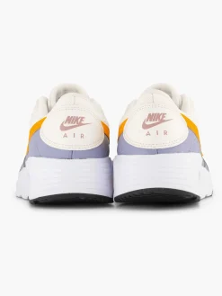Kinderen Nike Grijze Air Max Sc
